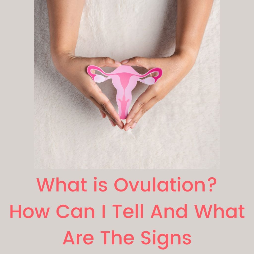 What is Ovulation? How Can I Tell And What Are The Signs