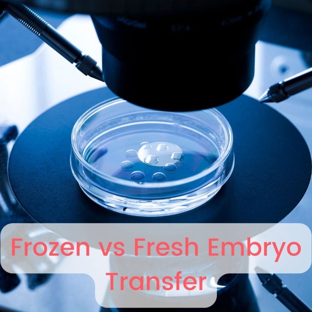 Frozen vs Fresh Embryo Transfer