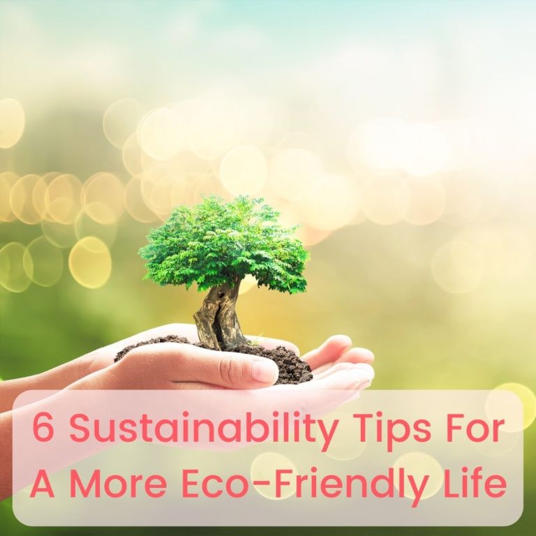 6 Sustainability Tips For A More Eco-Friendly Life